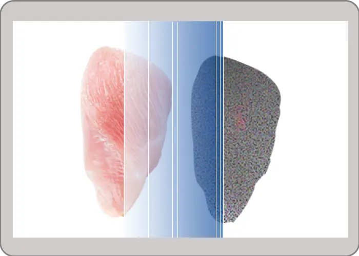 X-ray scan display showing product shadowgraph with dark contaminant contrast against lighter food matrix