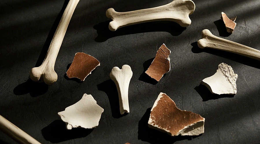 Tiny and fragmented bone pieces scattered on surface representing challenging contaminants in processed meat and seafood