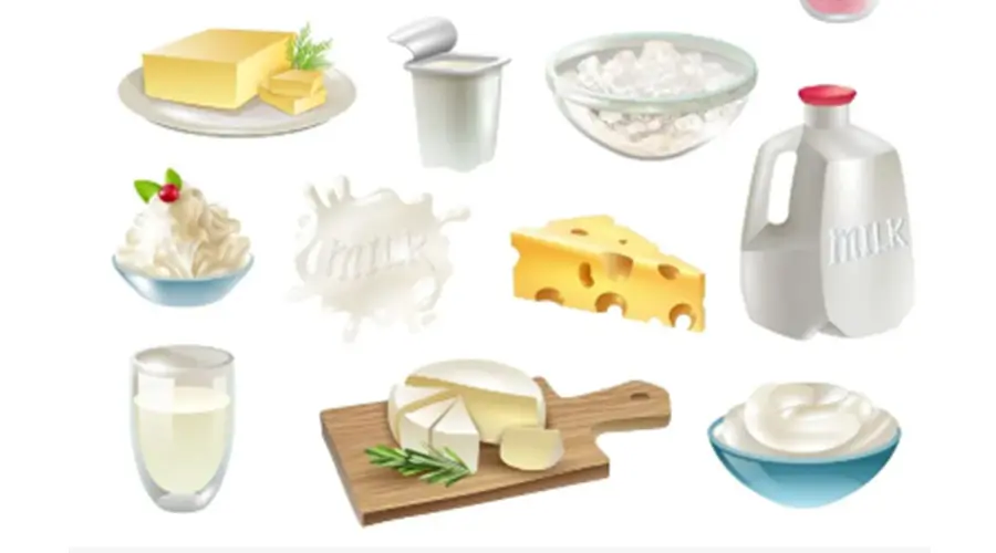 x-ray inspection of cheese blocks on production line