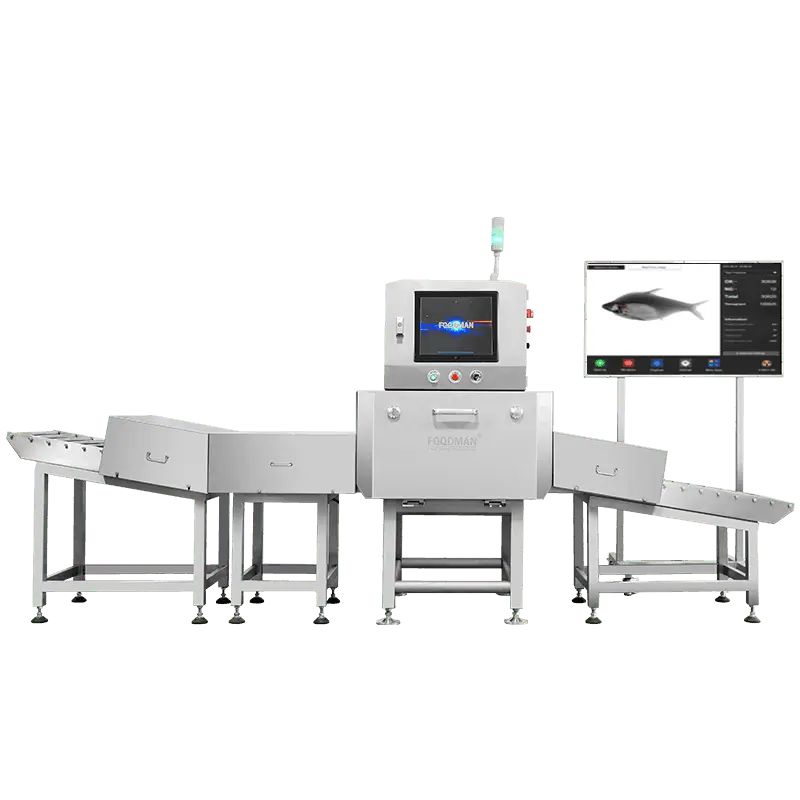 Foodman X-ray inspection system detecting fish bones in fish fillets on production line