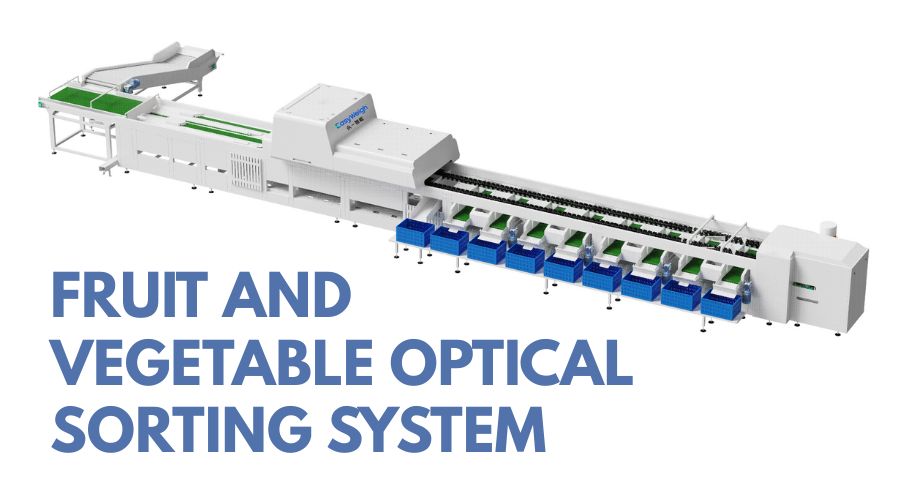 Advanced optical sorting system with AI cameras and ejectors sorting fresh fruits and vegetables by color, size, and defects