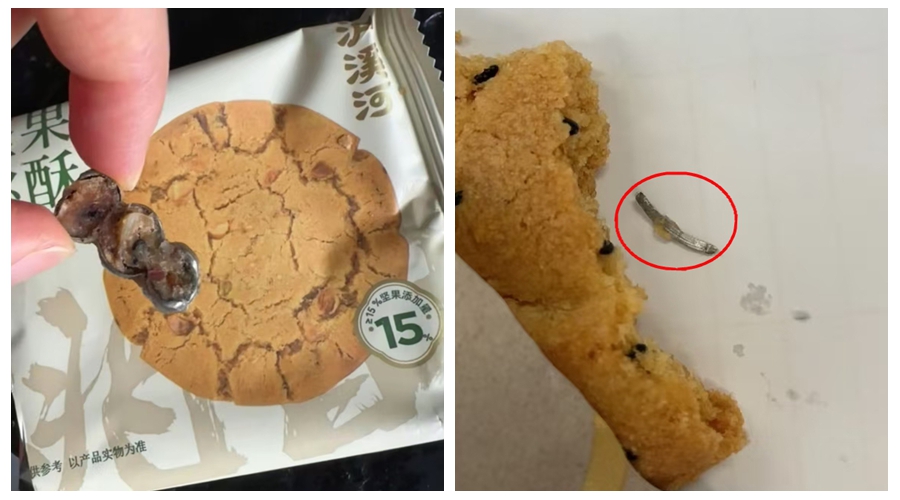 X-ray image of walnut cookie showing foreign object contamination with visible contrast